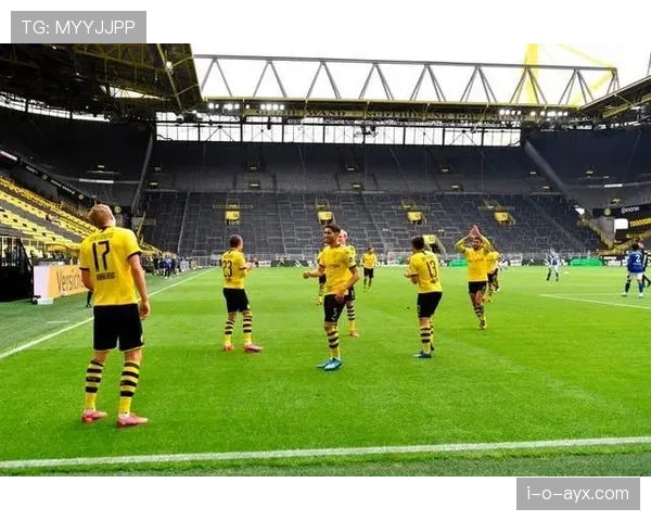 沙尔克04防线漏洞频现，新赛季亟需调整防守策略以重振竞争力