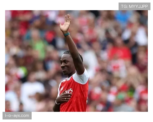 水晶宫球迷发起抗议行动，表达对俱乐部管理层的强烈不满