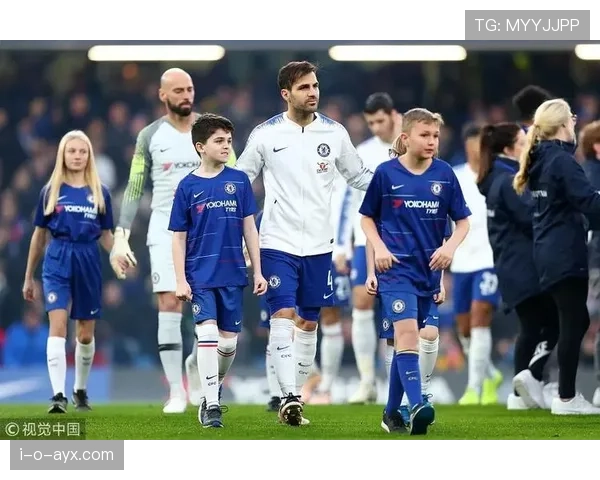 芬兰队长佩戴袖标彰显团结精神，团队合作引关注